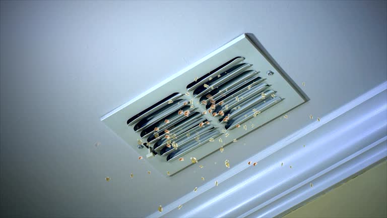 Best Dryer Vent Cleaning Services  in Belvedere, SC